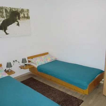 Apartment Ferienwohnung Freundl Tännesberg